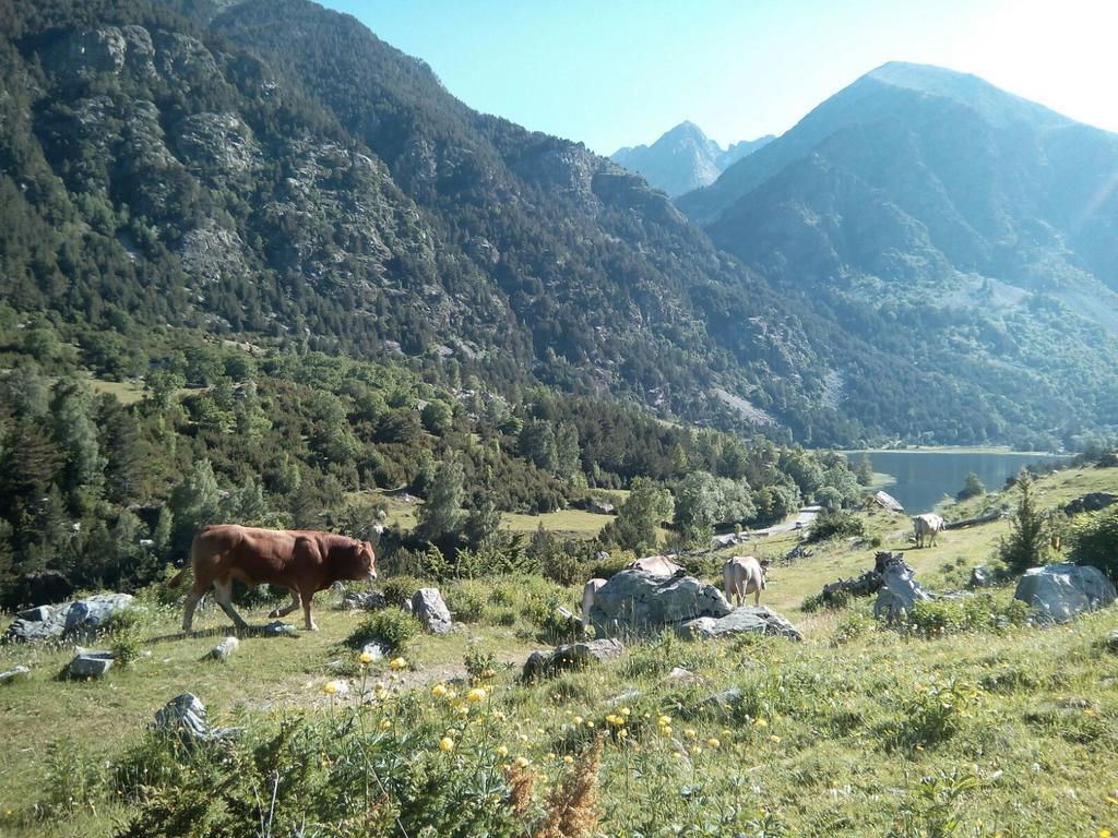 Apartmán Anticforn Bohí Exteriér fotografie